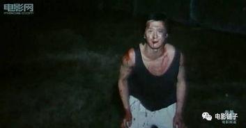 国产性虐,揭秘国产影视作品中的独特魅力与争议